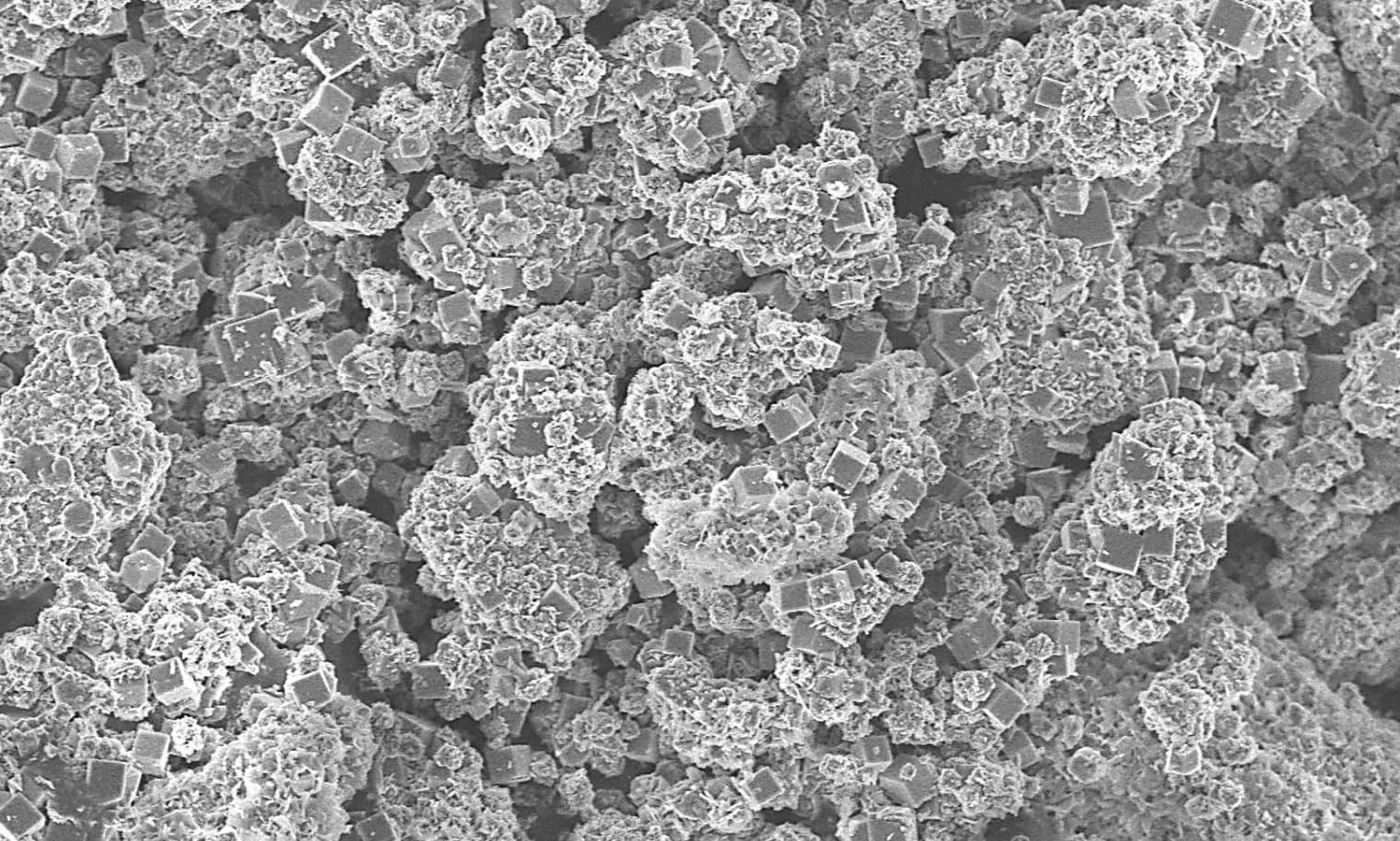 microscope picture of zeolite
